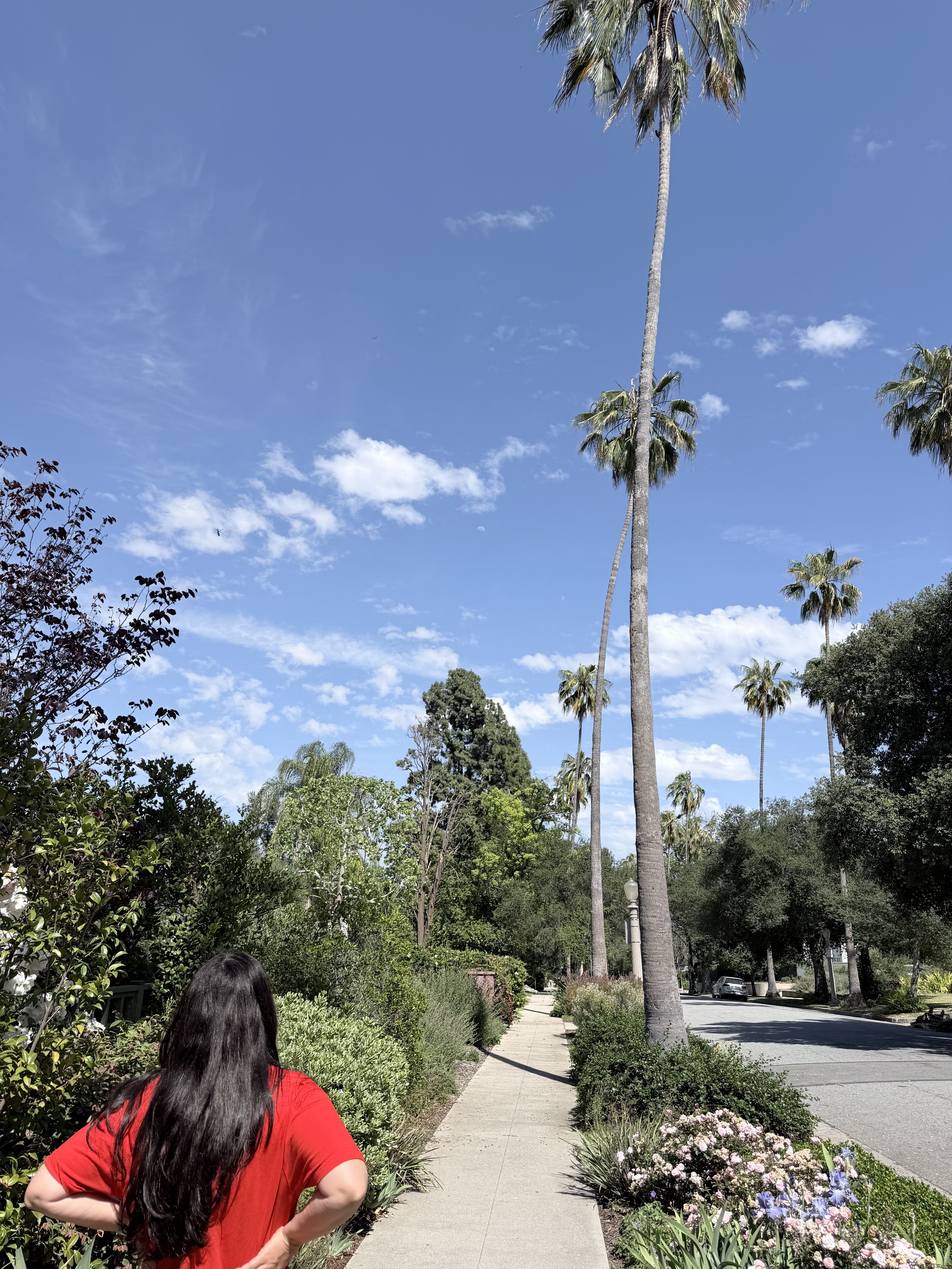 Pasadena Living